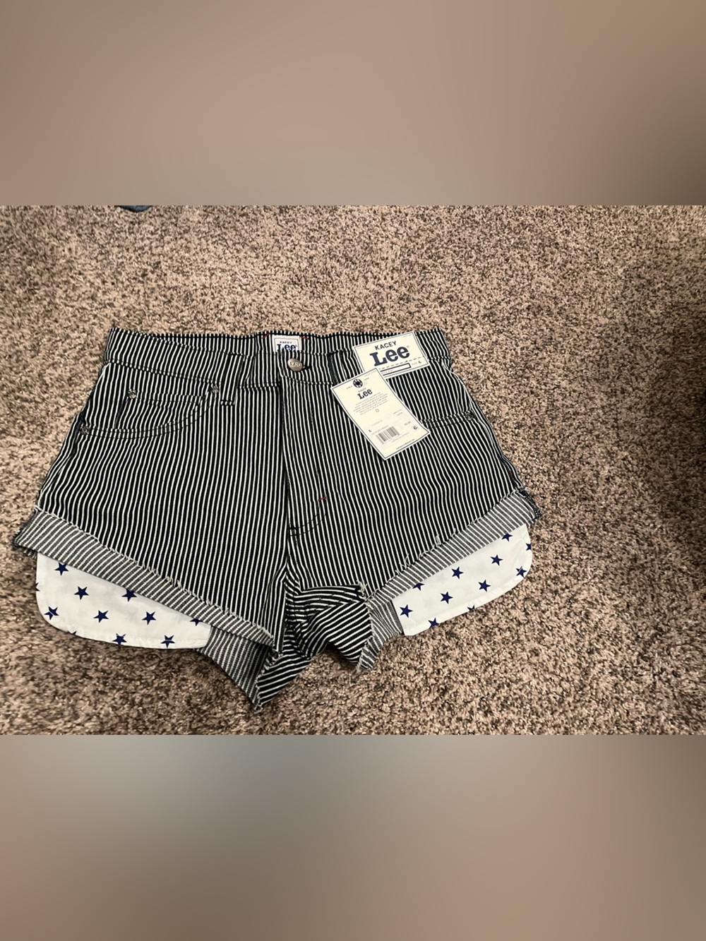 Kacey Lee Pinstripe Denim Shorts with Star Liner